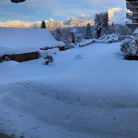 La Marmotte: Vue Mont Blanc, Terrasse, Parking Apartment Combloux Exterior photo