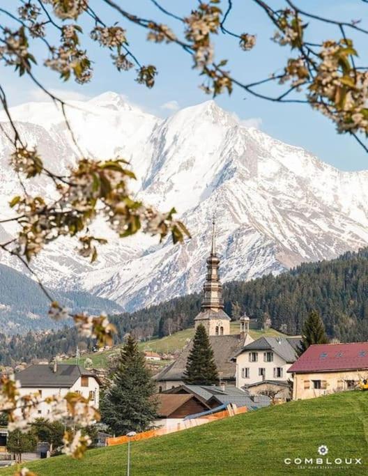 La Marmotte: Vue Mont Blanc, Terrasse, Parking Apartment Combloux Exterior photo