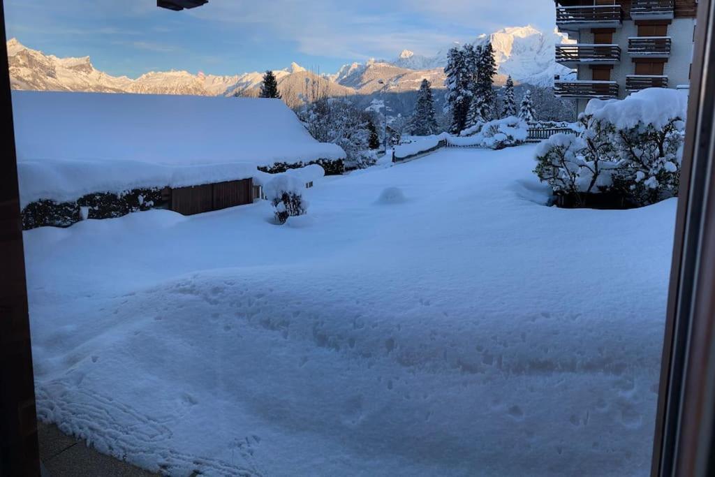 La Marmotte: Vue Mont Blanc, Terrasse, Parking Apartment Combloux Exterior photo