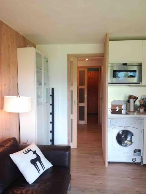 La Marmotte: Vue Mont Blanc, Terrasse, Parking Apartment Combloux Exterior photo