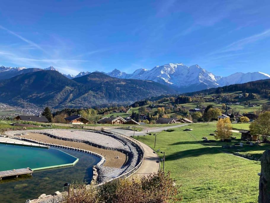 La Marmotte: Vue Mont Blanc, Terrasse, Parking Apartment Combloux Exterior photo